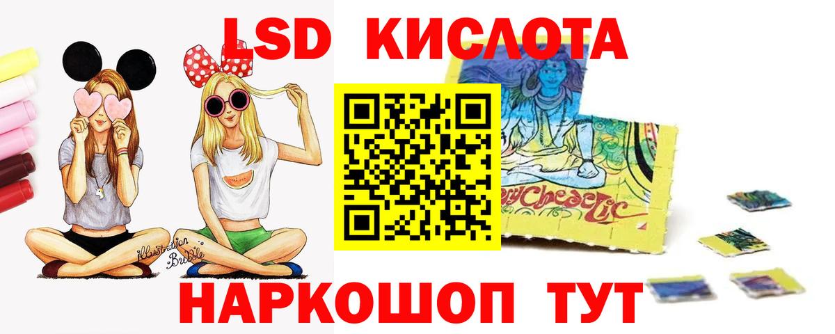 Новозыбков  ЛСД экстази ecstasy  блэк спрут рабочий сайт  Лсд 25 экстази ecstasy  Вход с VPN 
