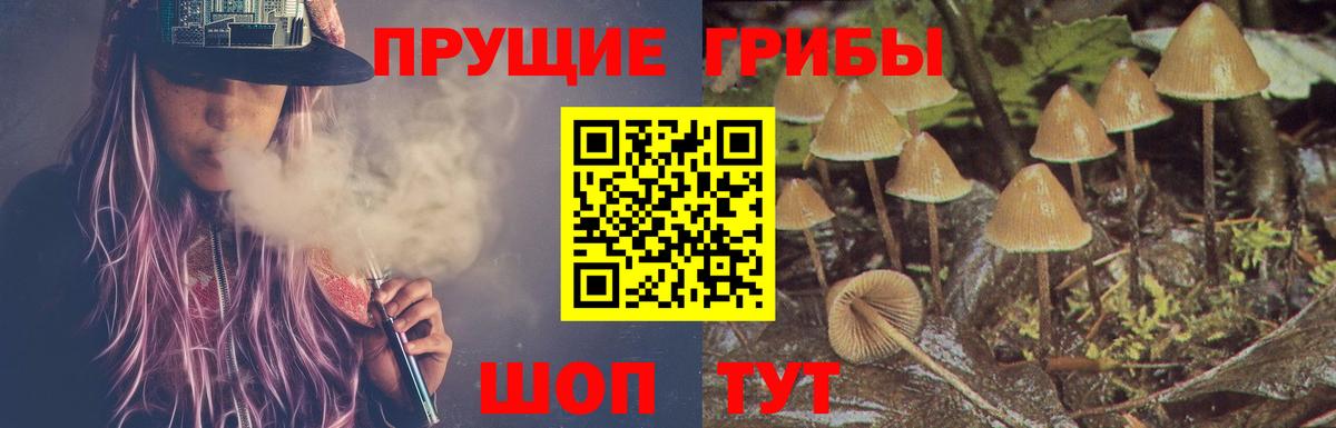 Галлюциногенные грибы Magic Shrooms  Вход с VPN  Новозыбков 
